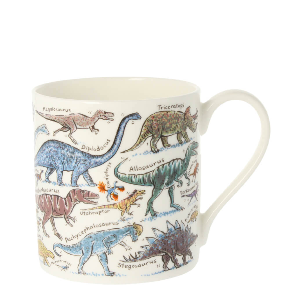 Picturemaps Dinosaurs Mug 350ml